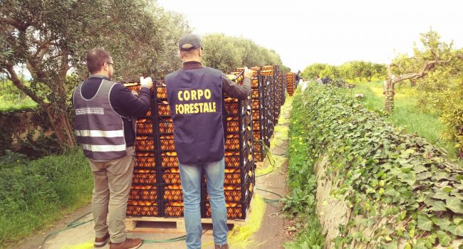 Coronavirus: controlli alimentari, in Sicilia multe per 50 mila euro