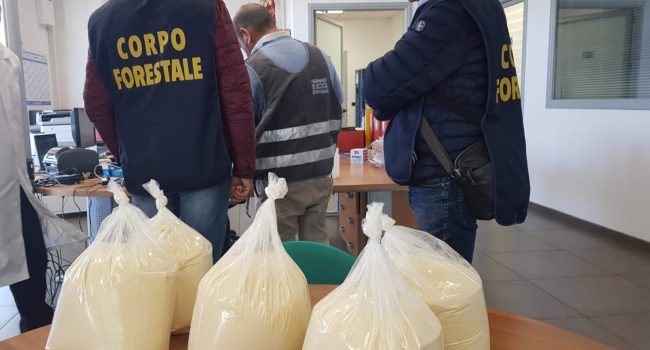Controlli-alimentari-2.jpg