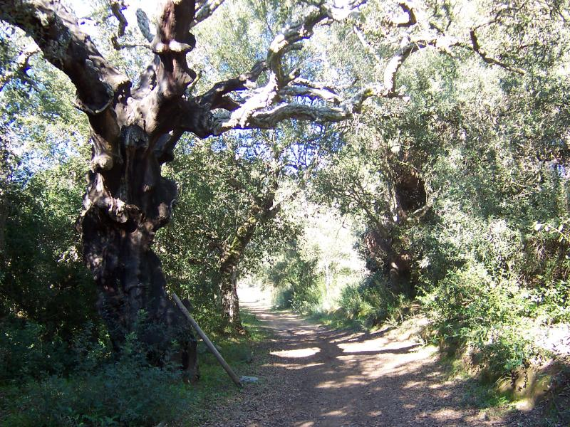 Caltagirone aderisce al progetto per il parco mondiale dello stile di vita mediterraneo