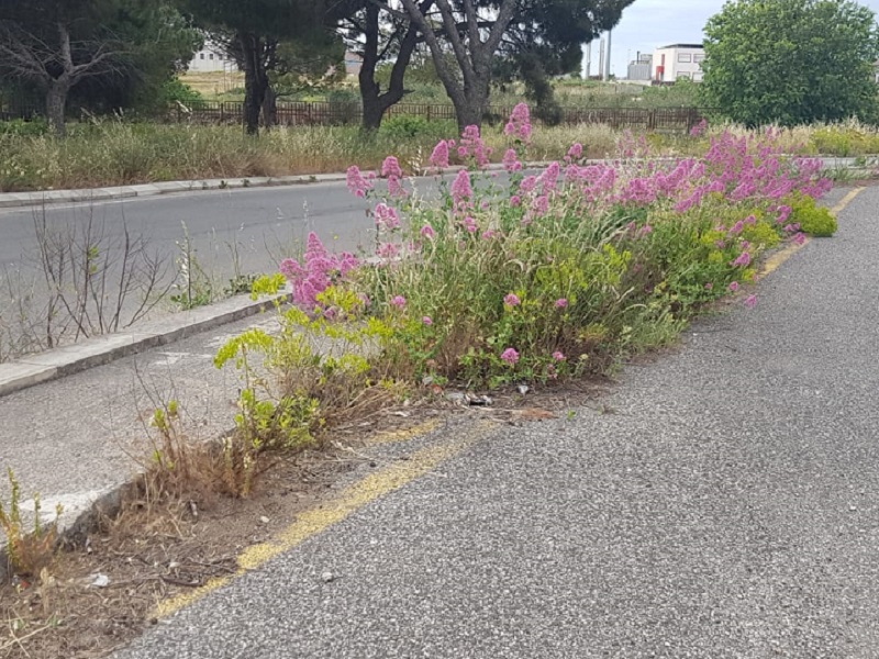 Scerbatura straordinaria delle strade: in arrivo quasi 50mila euro