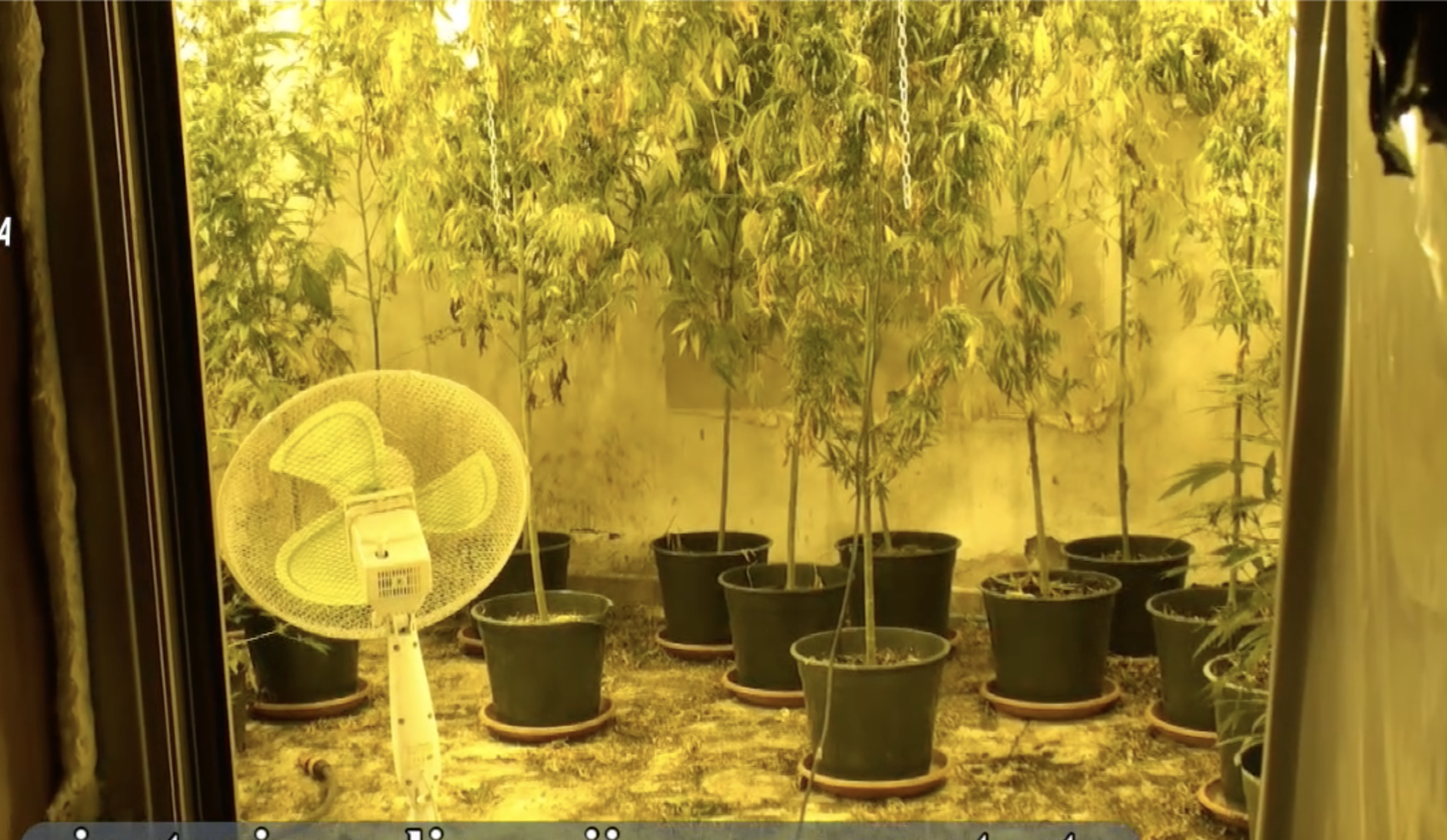 Traffico di cocaina e marijuana 15 arresti a Caltagirone