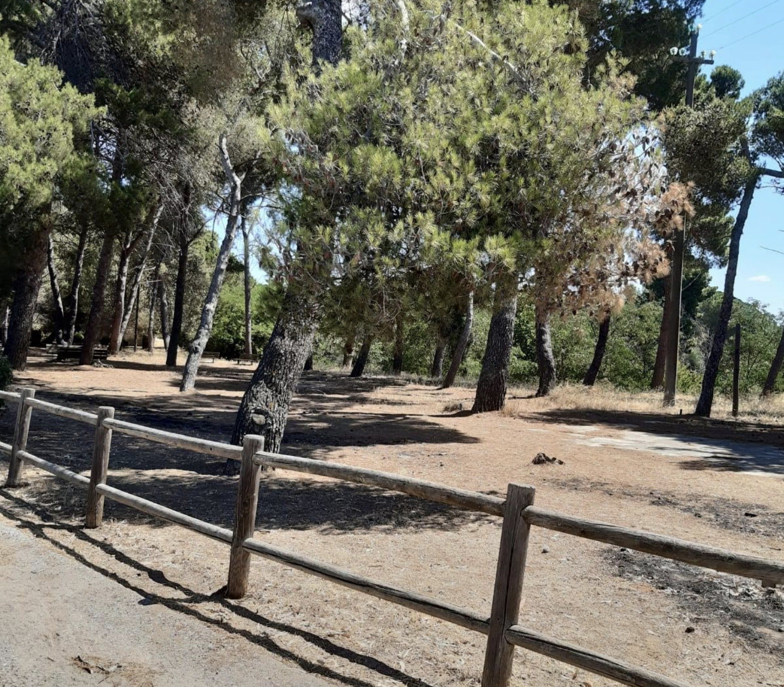 Restituito decoro a Santo Pietro grazie a collaborazione tra Aziende Foreste e Comune Caltagirone