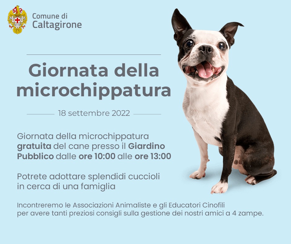Domenica 18 settembre, alla Villa comunale, Giornata della microchippatura gratuita del cane. L’assessore Lara Lodato: “Momento importante anche per diffondere una corretta cultura cinofila”
