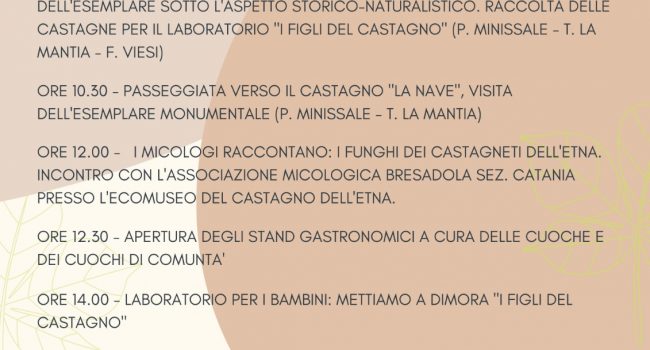 Festa-degli-Alberi-attività-domenica-20-nov-2022.jpeg
