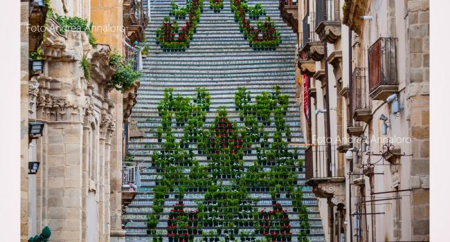 Foto-Scala-infiorata-2024.jpg