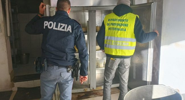 Macellazione abusiva di cavalli? La Polizia ne ha trovati due non censiti in un caseificio abusivo