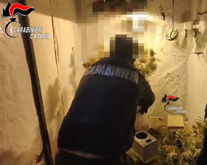 Scoperta dai Carabinieri serra artigianale per la coltivazione di marijuana. Arrestato un 38enne di Mascalucia
