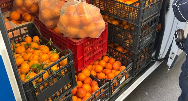 CONTRASTO-DELLA-POLIZIA-DI-STATO-ALL’ABUSIVISMO-COMMERCIALE-MAXI-SEQUESTRO-DI-2-TONNELLATE-DI-AGRUMI-PRIVI-DI-TRACCIABILITA’.-SANZIONI-PER-OLTRE-4500-EURO-2.jpg