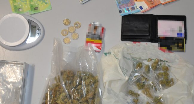 DUE-PUSHER-DI-ADRANO-ARRESTATI-DALLA-POLIZIA-DI-STATO-IN-CASA-TROVATA-MARIJUANA-E-DUE-TARTARUGHE-DI-UNA-SPECIE-PROTETTA-1.jpg