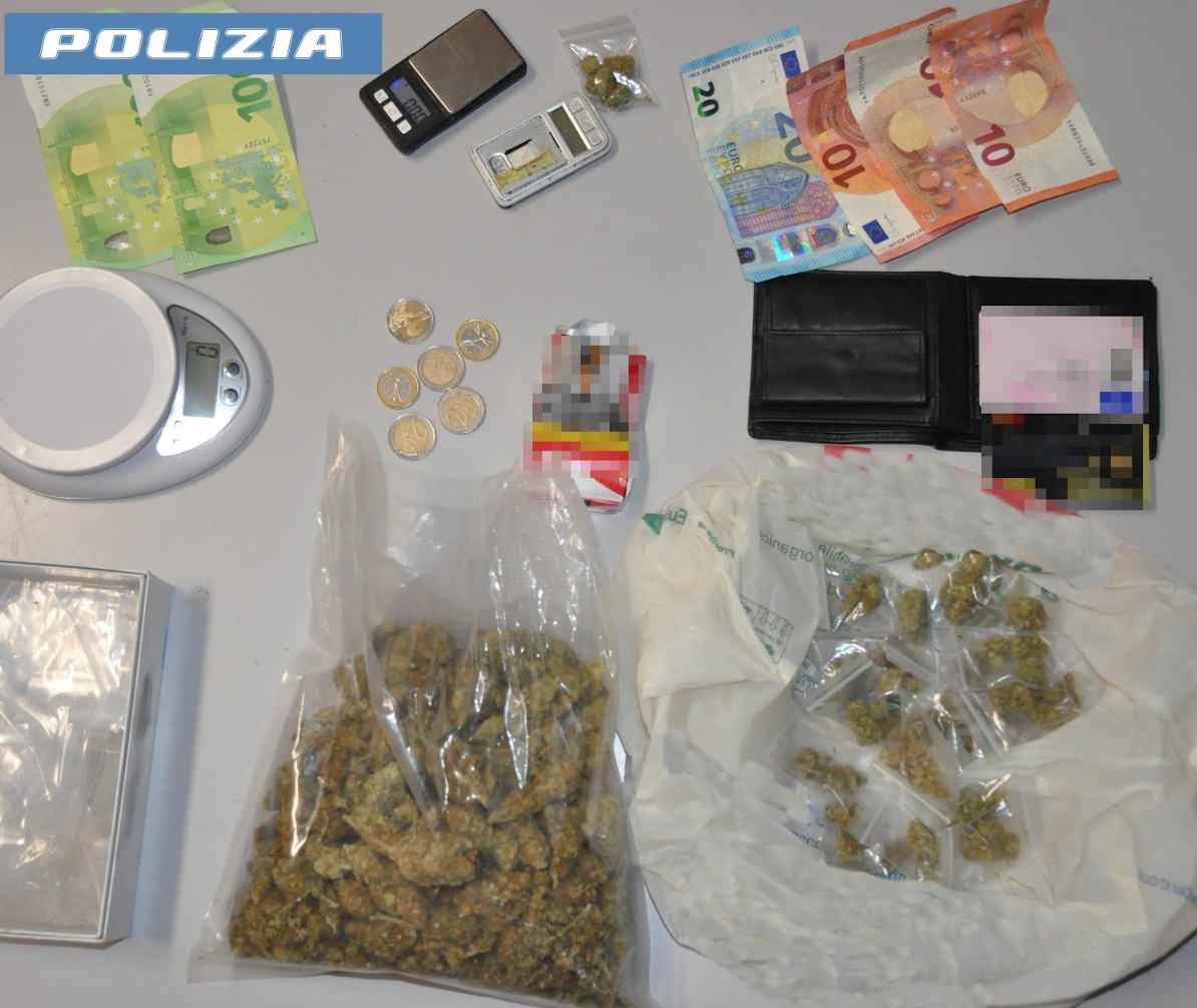 Due pusher etnei arrestati: in casa marijuana e due tartarughe protette