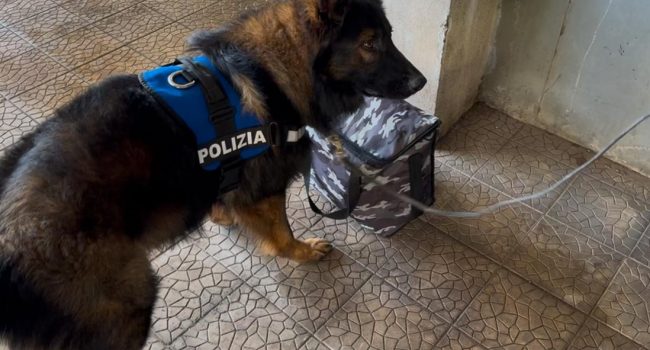 Aveva trasformato la sua abitazione a Catania in una piazza di spaccio. Scoperto da cane poliziotto