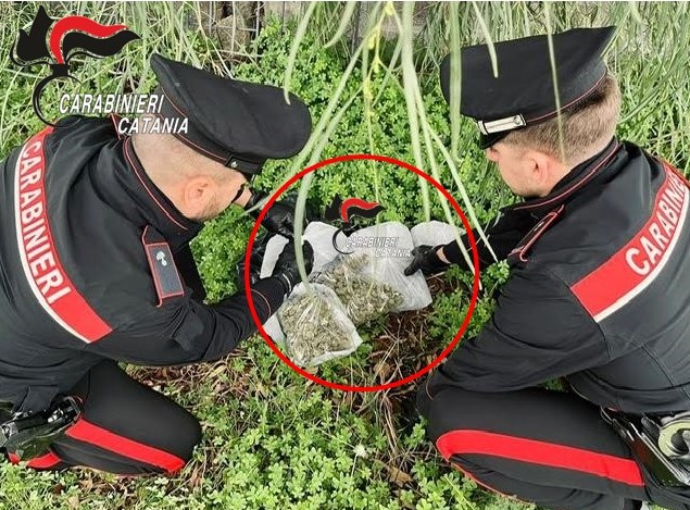 A Librino droga tra la vegetazione: oltre un chilo di marijuana recuperato dai Carabinieri